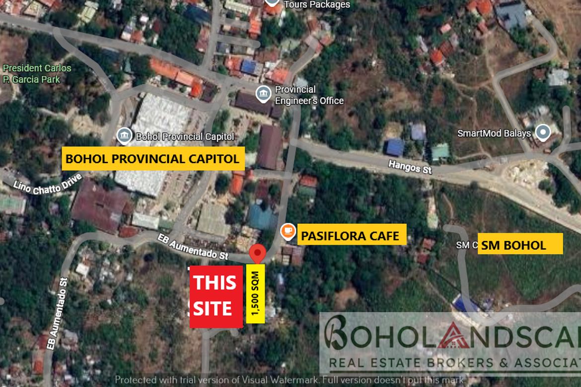 Land for Sale in Cogon, Tagbilaran, Bohol – photo 4