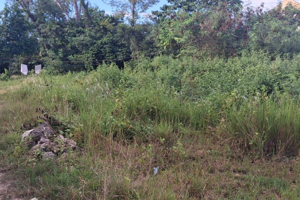 Land for Sale in Cogon, Tagbilaran, Bohol – photo 2