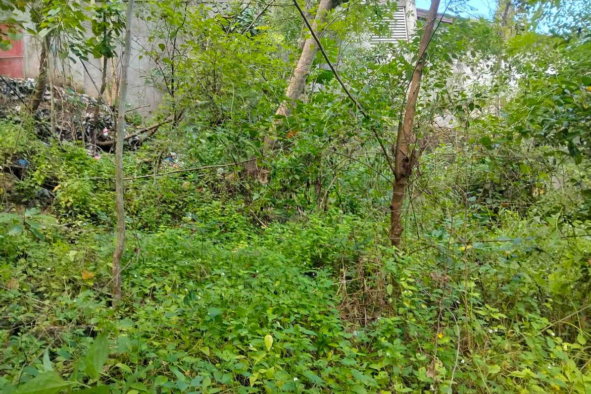 Land for Sale in Cogon, Tagbilaran, Bohol