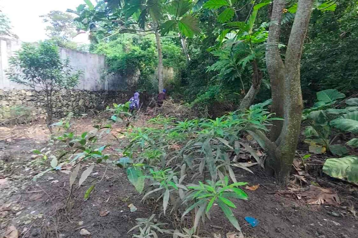 Land for Sale in Cogon, Tagbilaran, Bohol – photo 4