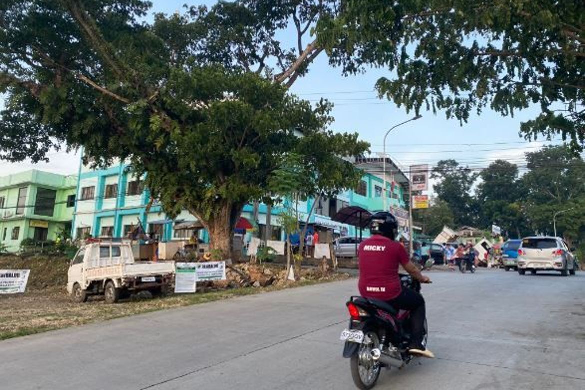 Land for Sale in Cogon, Tagbilaran, Bohol – photo 5