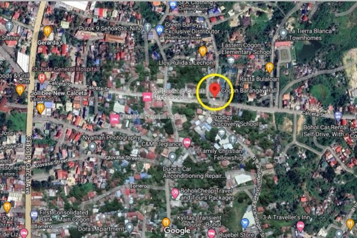 Land for Sale in Cogon, Tagbilaran, Bohol – photo 6