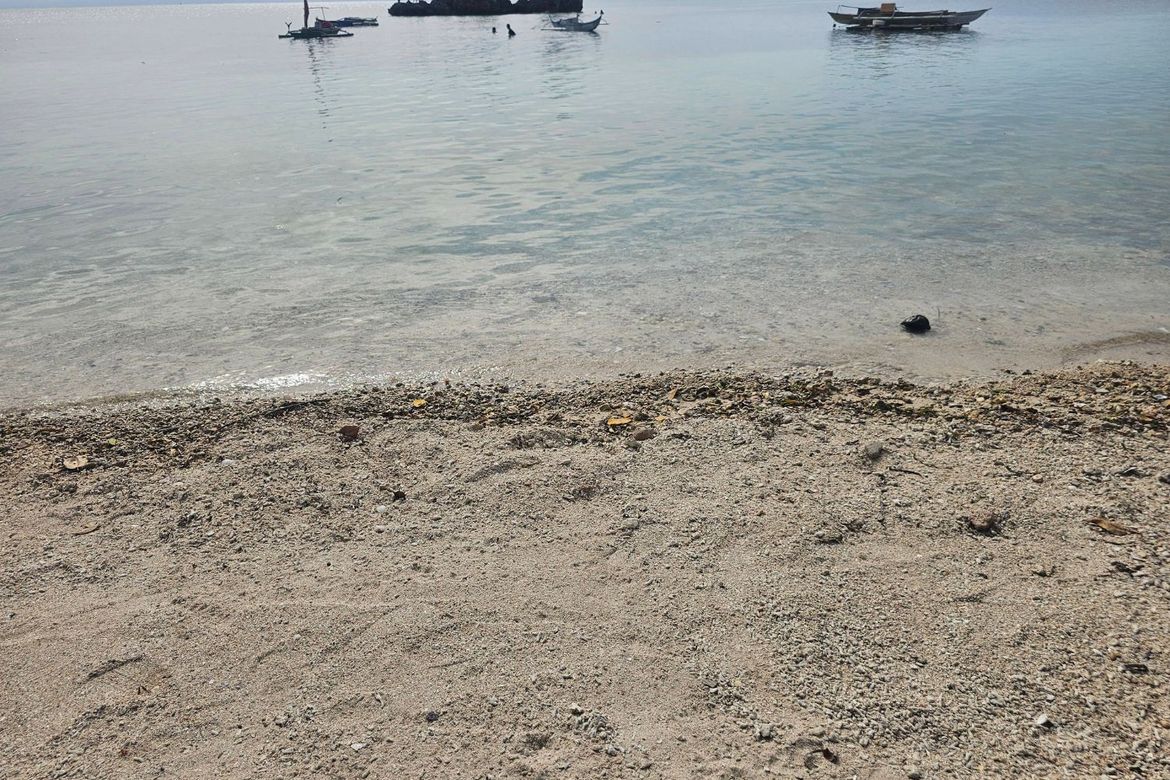 Land for Sale in Cogon, Tagbilaran, Bohol – photo 4