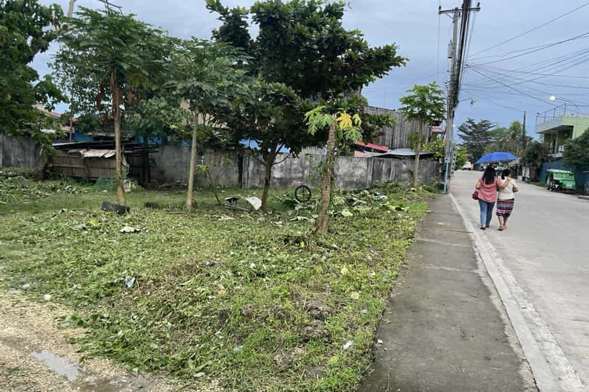 Land for Sale in Cogon, Tagbilaran, Bohol – photo 2