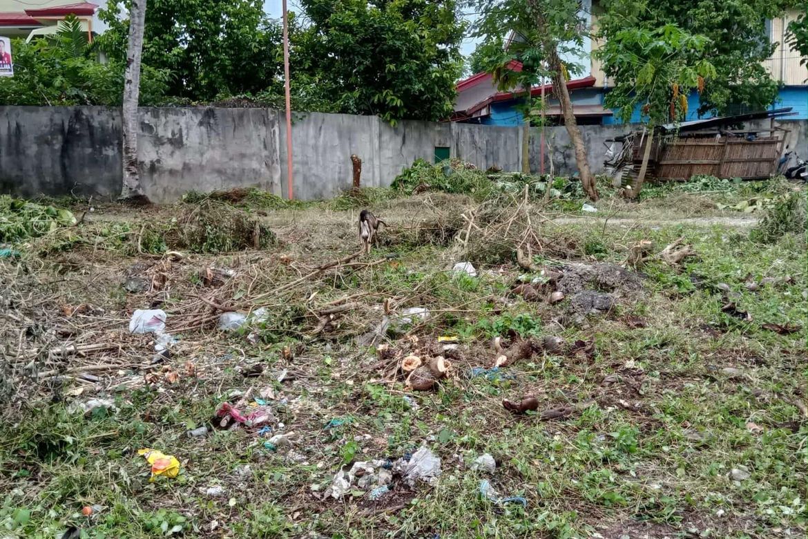 Land for Sale in Cogon, Tagbilaran, Bohol – photo 5