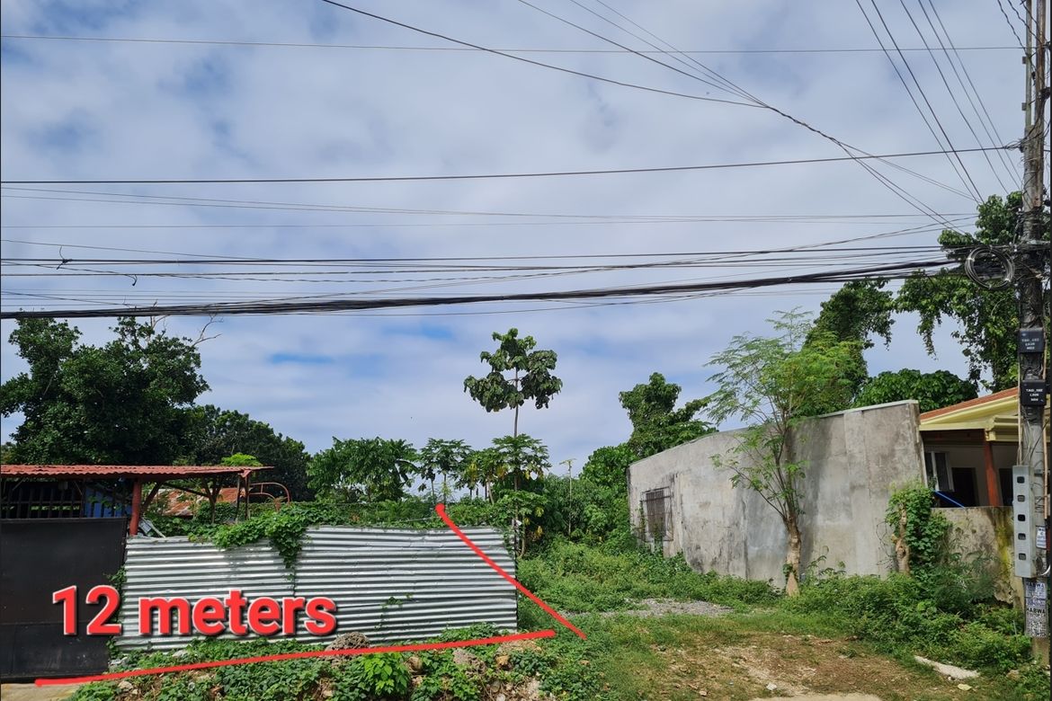 Land for Sale in Cogon, Tagbilaran, Bohol – photo 8