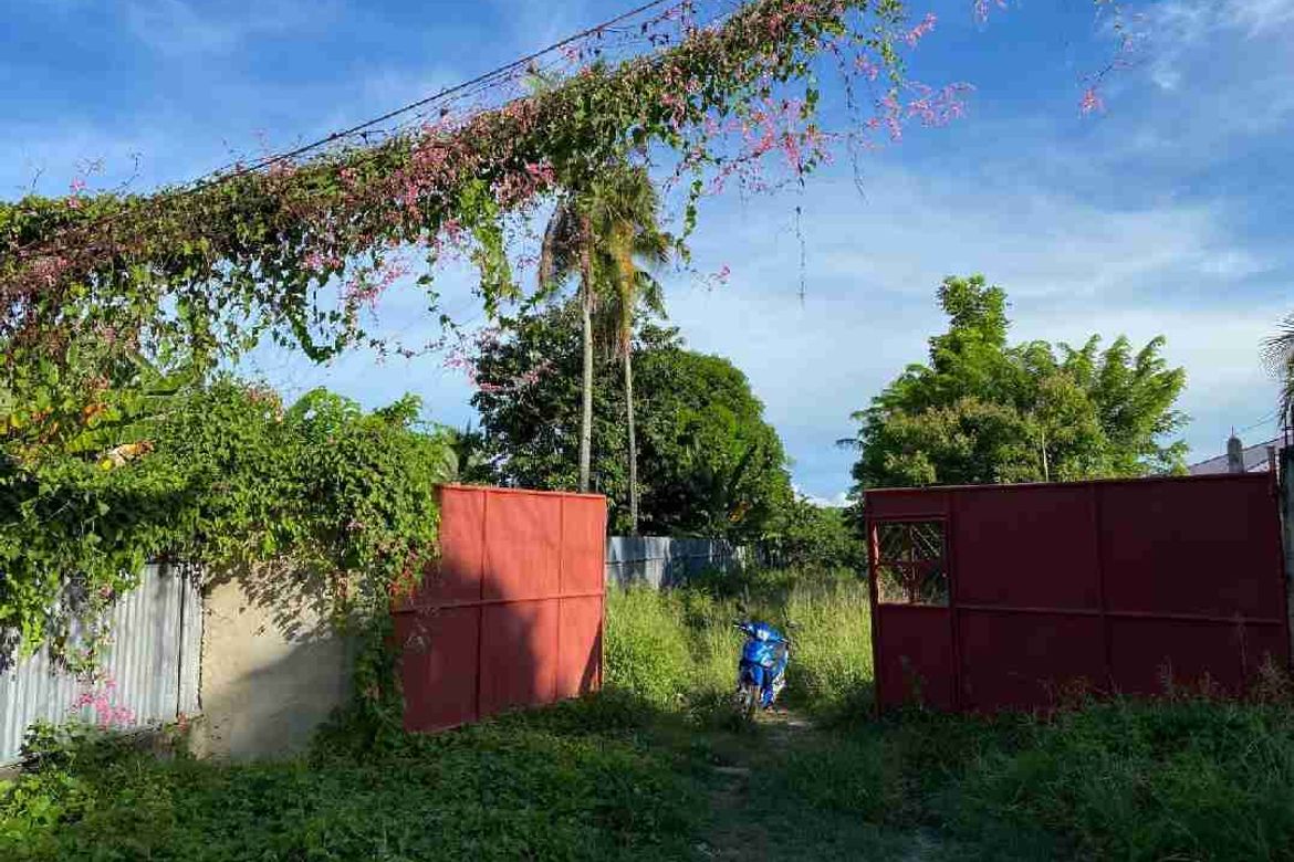 Land for Sale in Cogon West, Carmen, Cebu – photo 2
