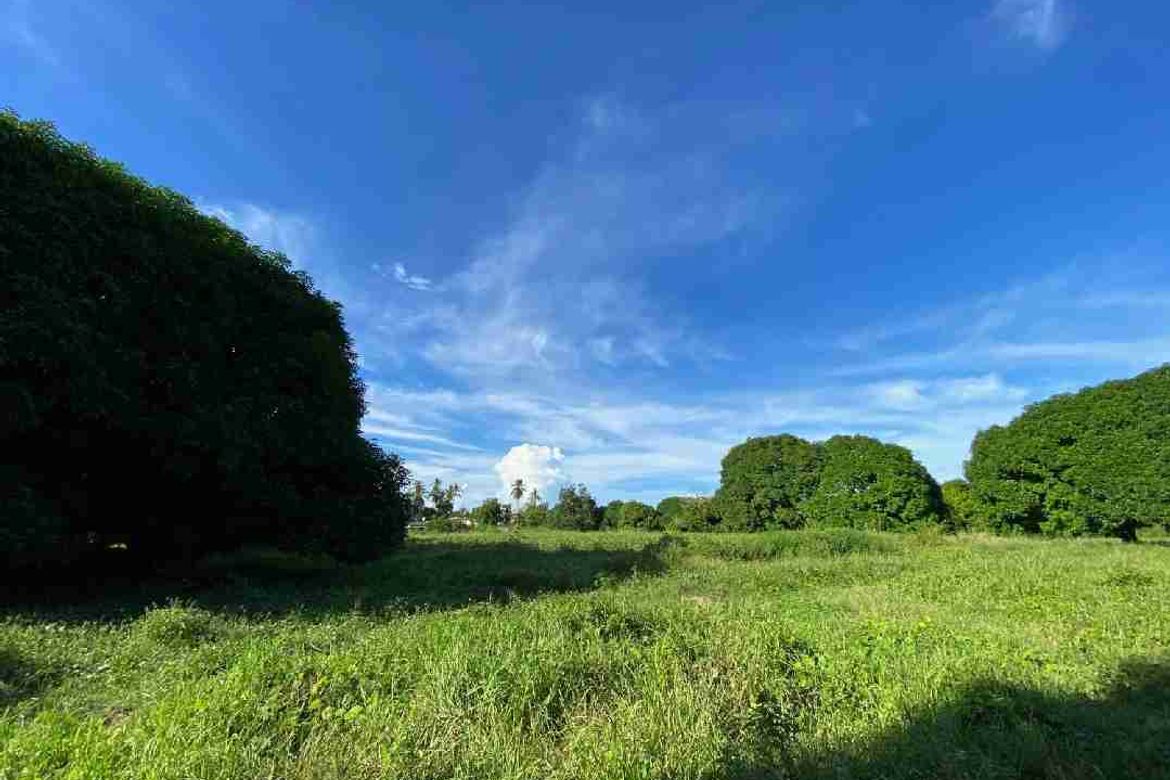 Land for Sale in Cogon West, Carmen, Cebu – photo 4