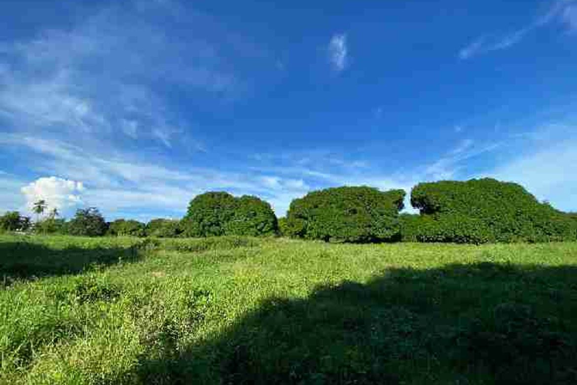 Land for Sale in Cogon West, Carmen, Cebu – photo 7