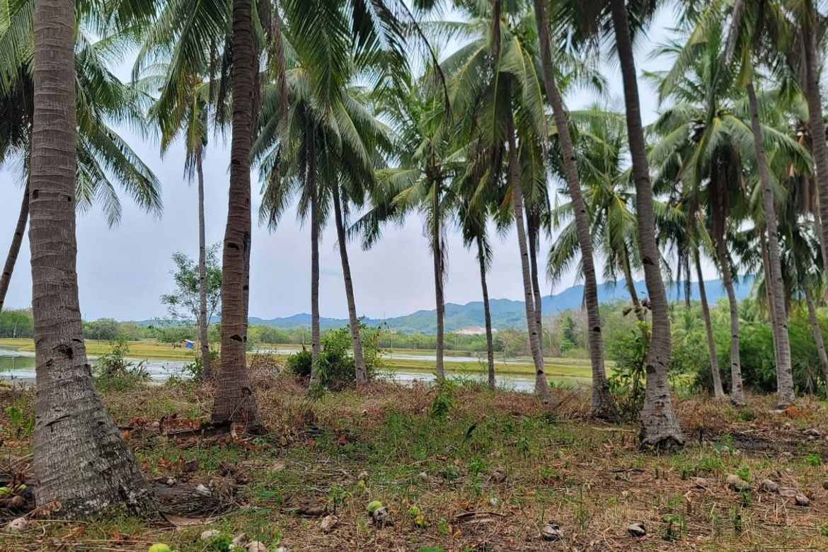 Land for Sale in Cogon West, Carmen, Cebu – photo 5