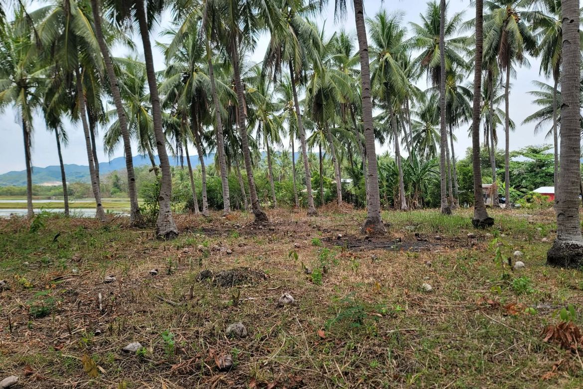 Land for Sale in Cogon West, Carmen, Cebu – photo 6