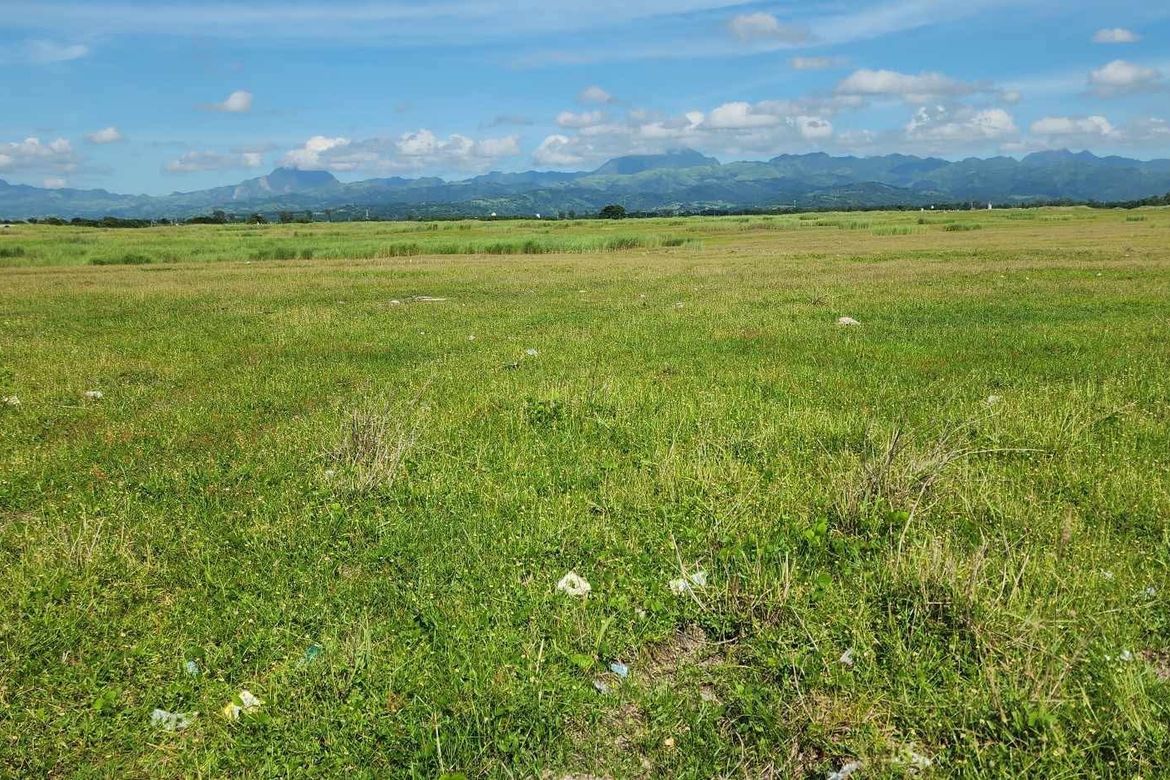 Land for Sale in Colubot, San Manuel, Tarlac – photo 7