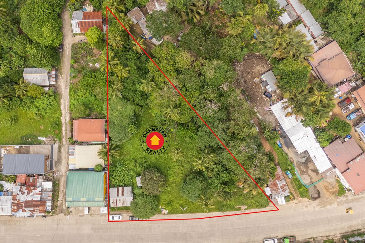 Land for Sale in Communal, Davao City, Davao del Sur – photo 5