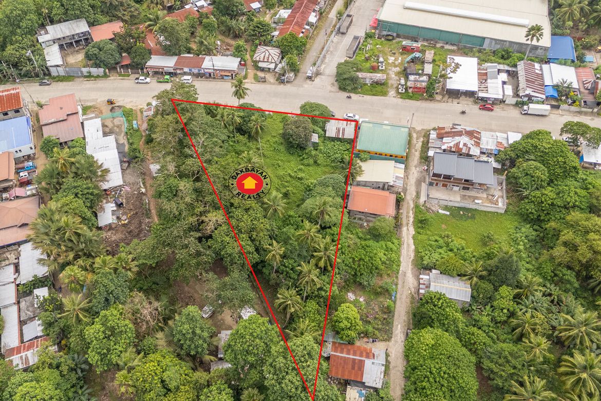 Land for Sale in Communal, Davao City, Davao del Sur – photo 6