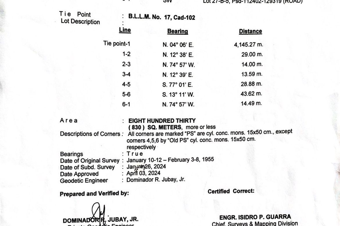 Land for Sale in Communal, Davao City, Davao del Sur – photo 3