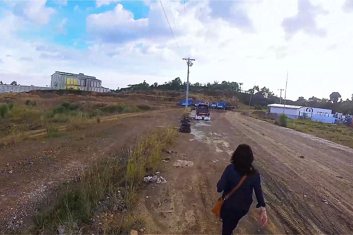 Land for Sale in Communal, Davao City, Davao del Sur – photo 2