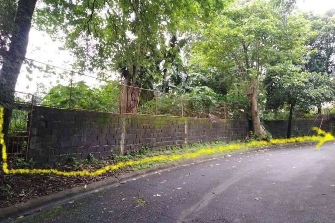 Land for Sale in Concepcion Dos, Marikina, Metro Manila – photo 2