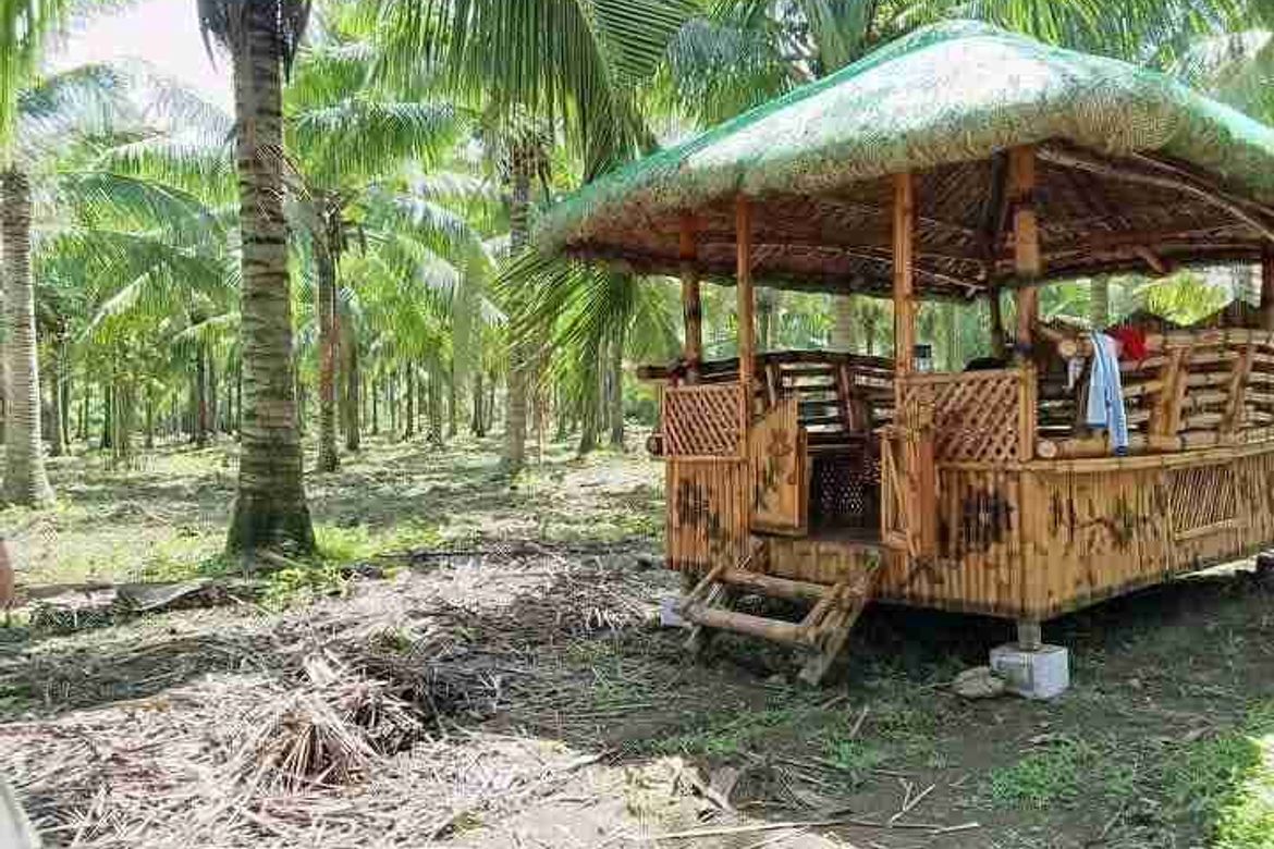 Land for Sale in Concepcion Palasan, Sariaya, Quezon