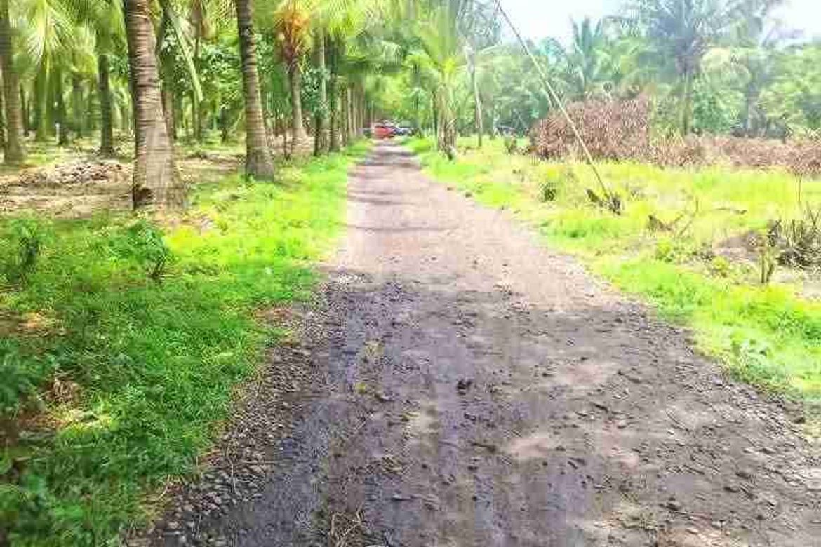 Land for Sale in Concepcion Palasan, Sariaya, Quezon – photo 4