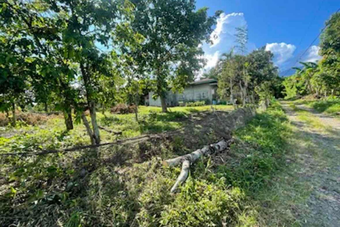 Land for Sale in Concepcion Palasan, Sariaya, Quezon – photo 2