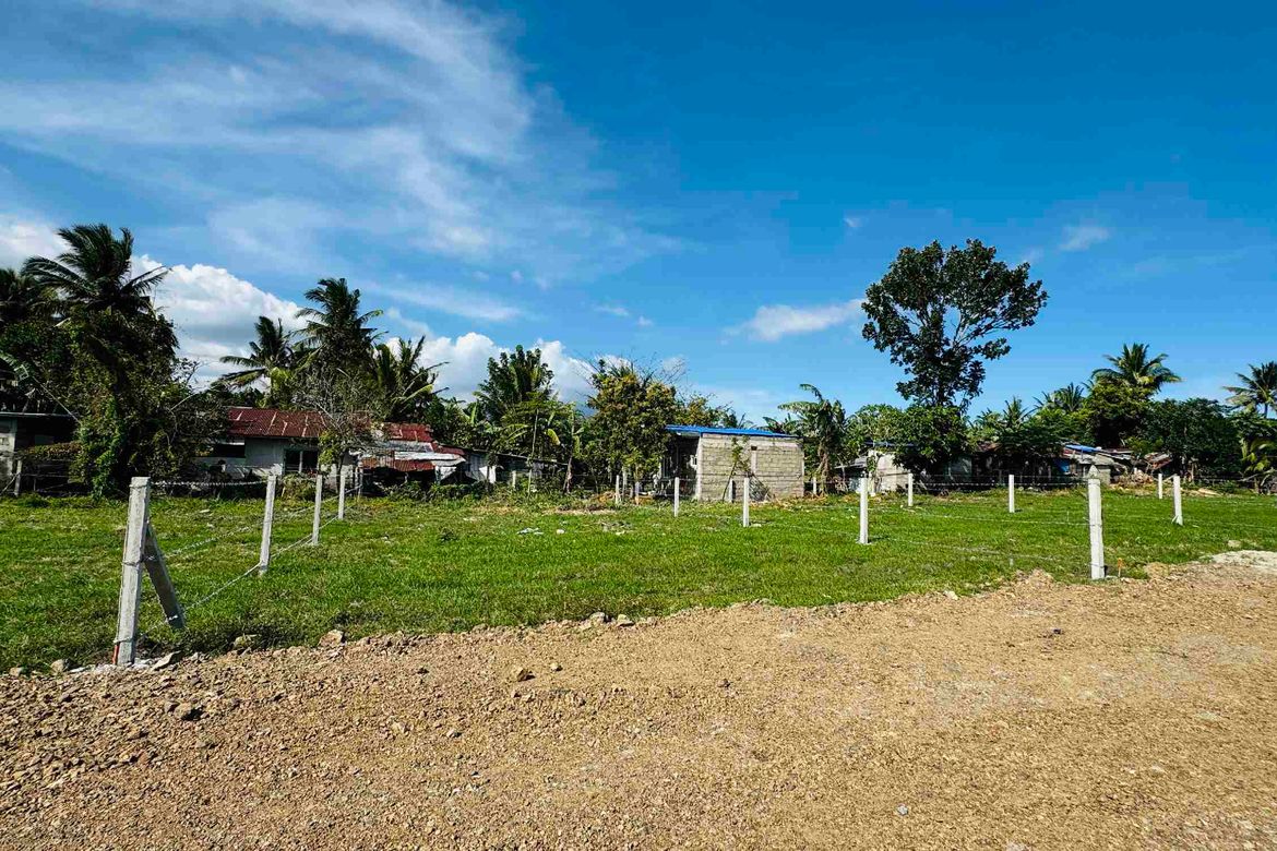 Land for Sale in Concepcion Palasan, Sariaya, Quezon – photo 6