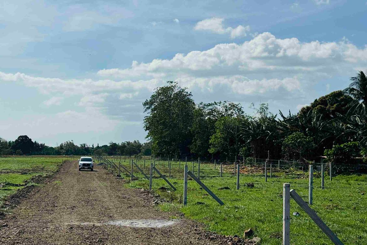 Land for Sale in Concepcion Palasan, Sariaya, Quezon – photo 8