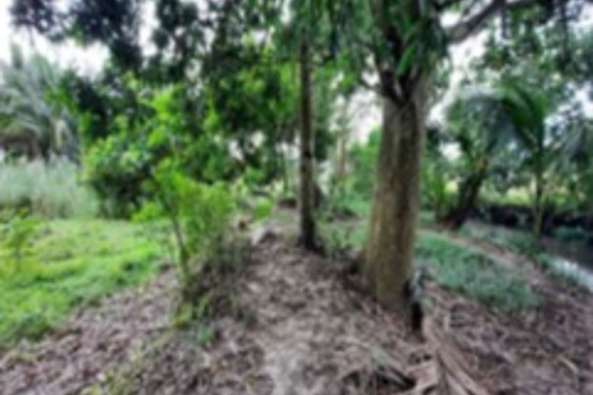 Land for Sale in Concepcion, Pila, Laguna – photo 3