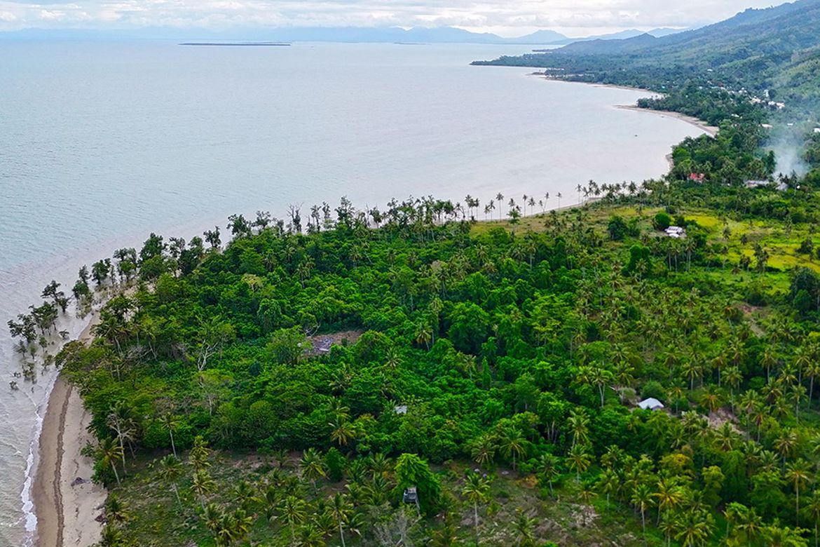 Land for Sale in Concepcion, Puerto Princesa, Palawan – photo 2