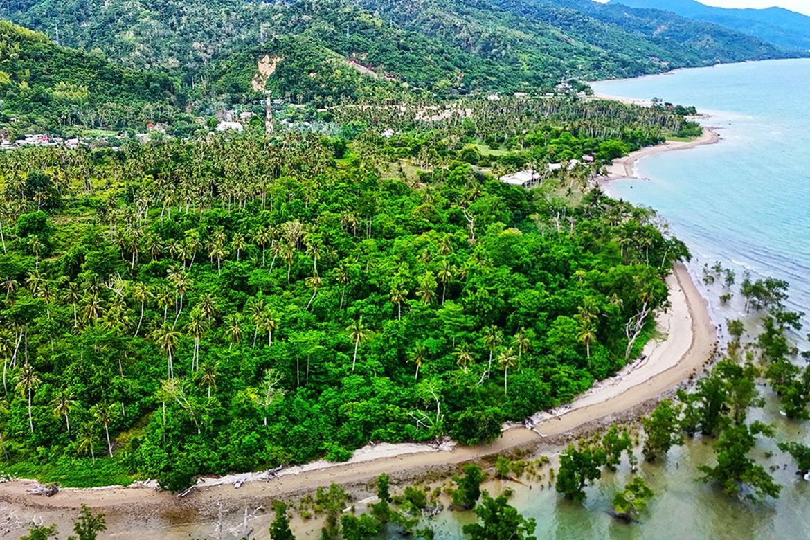 Land for Sale in Concepcion, Puerto Princesa, Palawan – photo 7