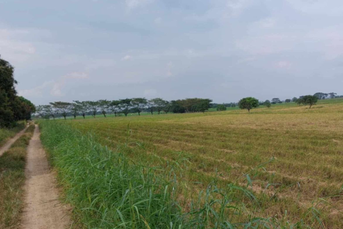 Land for Sale in Concepcion, San Simon, Pampanga