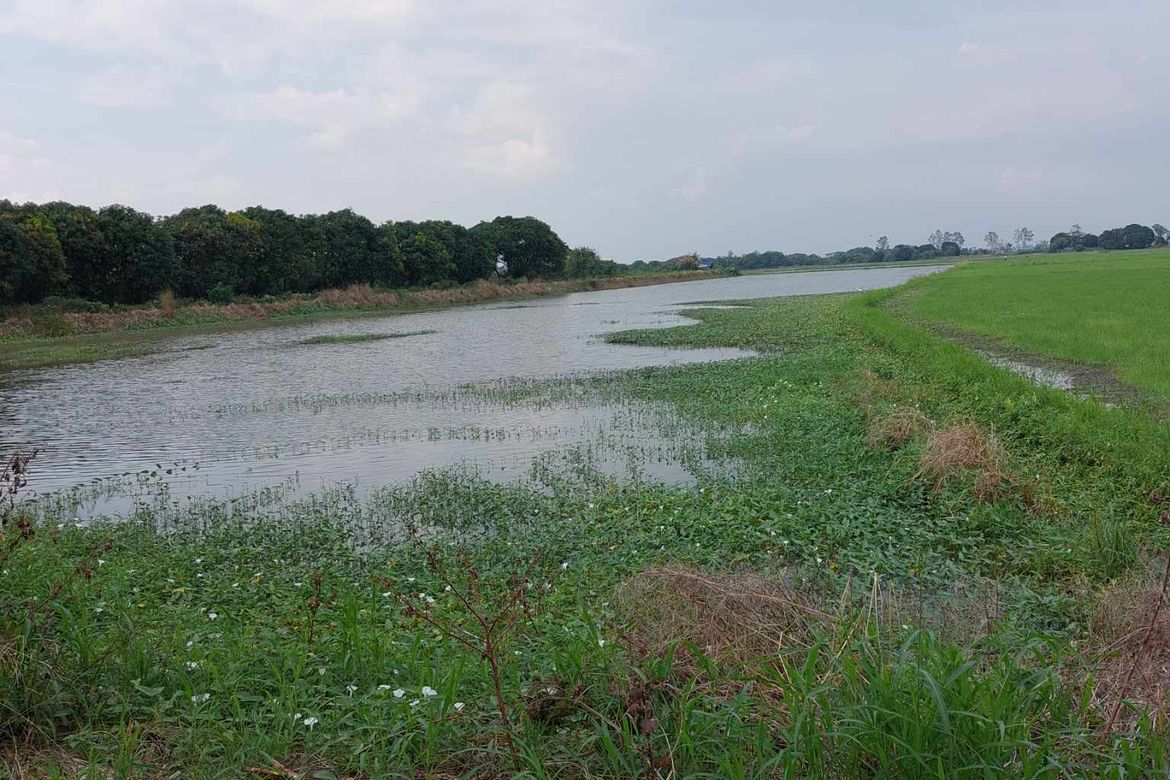 Land for Sale in Concepcion, San Simon, Pampanga – photo 2