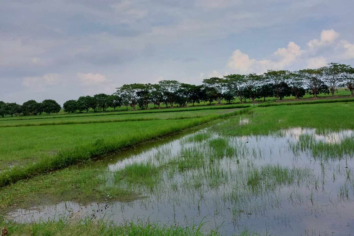 Land for Sale in Concepcion, San Simon, Pampanga – photo 5