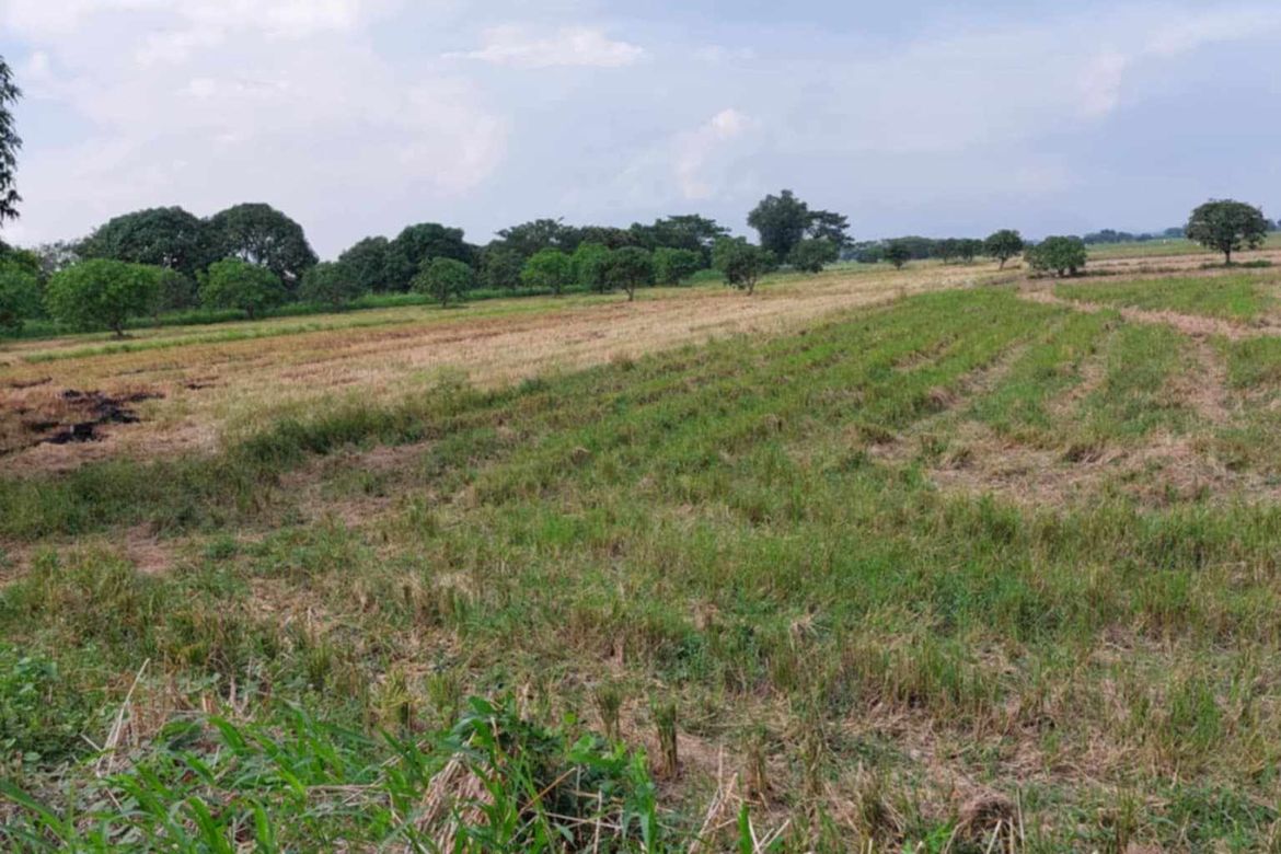 Land for Sale in Concepcion, San Simon, Pampanga – photo 6