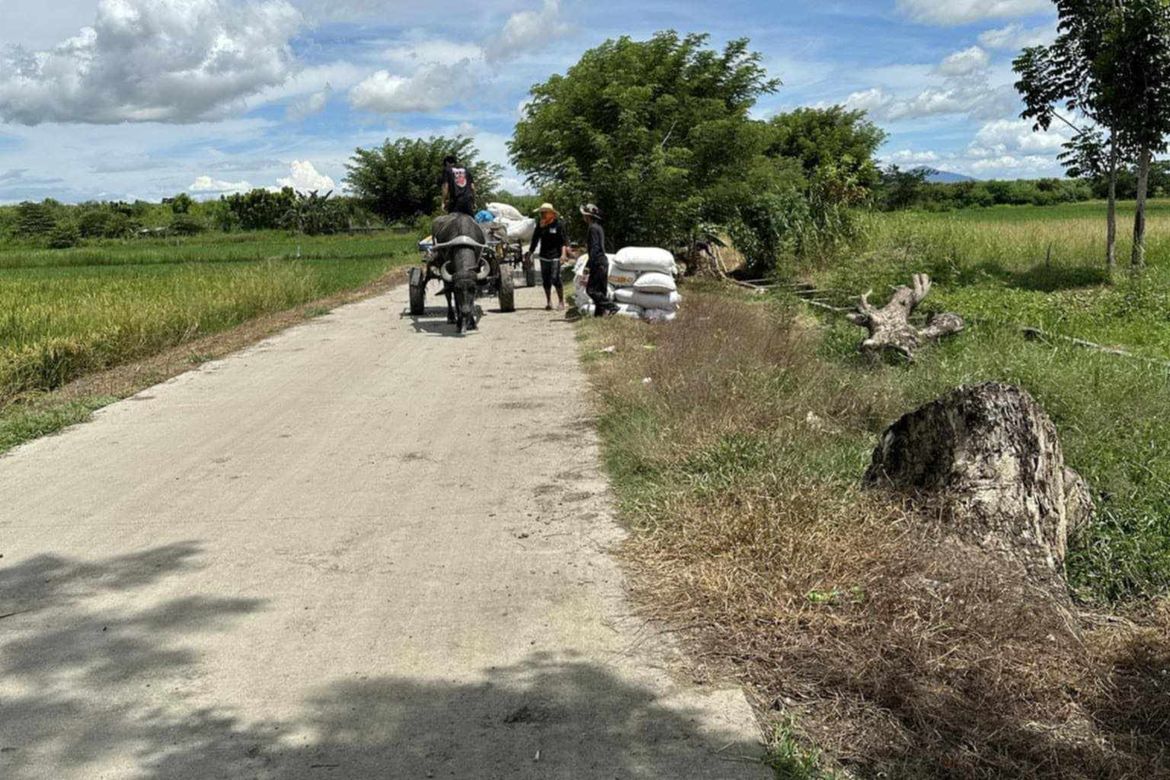 Land for Sale in Concepcion, Zaragoza, Nueva Ecija – photo 5