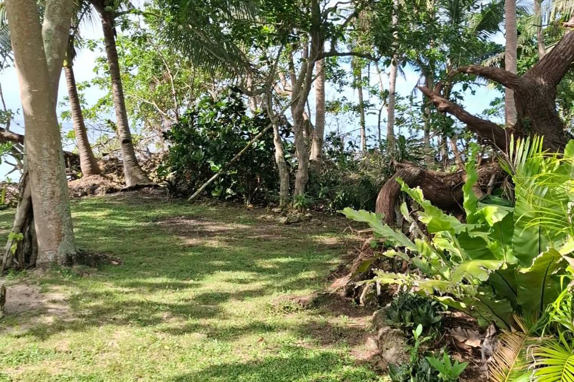 Land for Sale in Consuelo, San Francisco, Cebu – photo 6