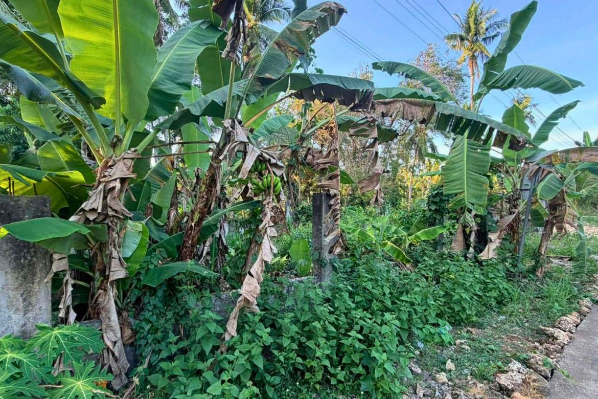 Land for Sale in Consuelo, San Francisco, Cebu – photo 4