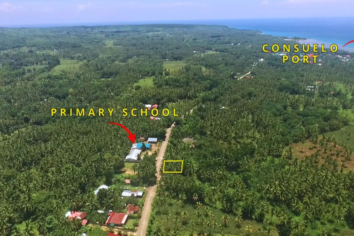 Land for Sale in Consuelo, San Francisco, Cebu – photo 7