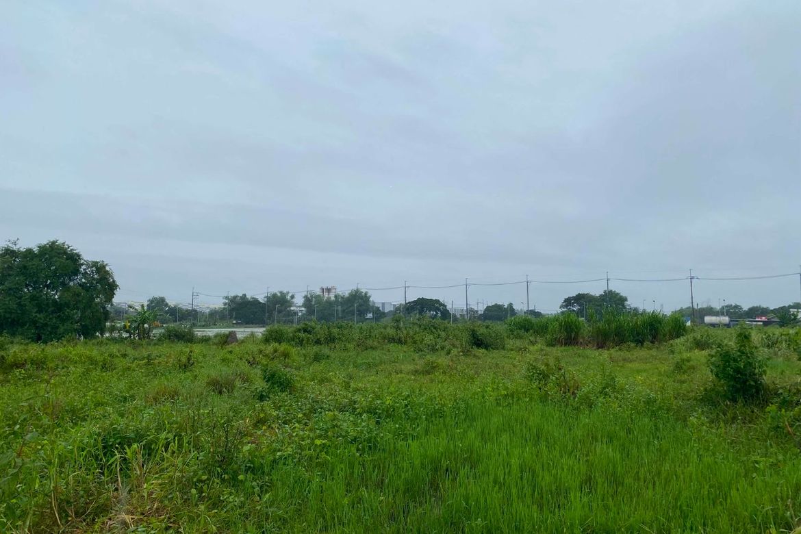 Land for Sale in Coral Na Bato, San Rafael, Bulacan – photo 8