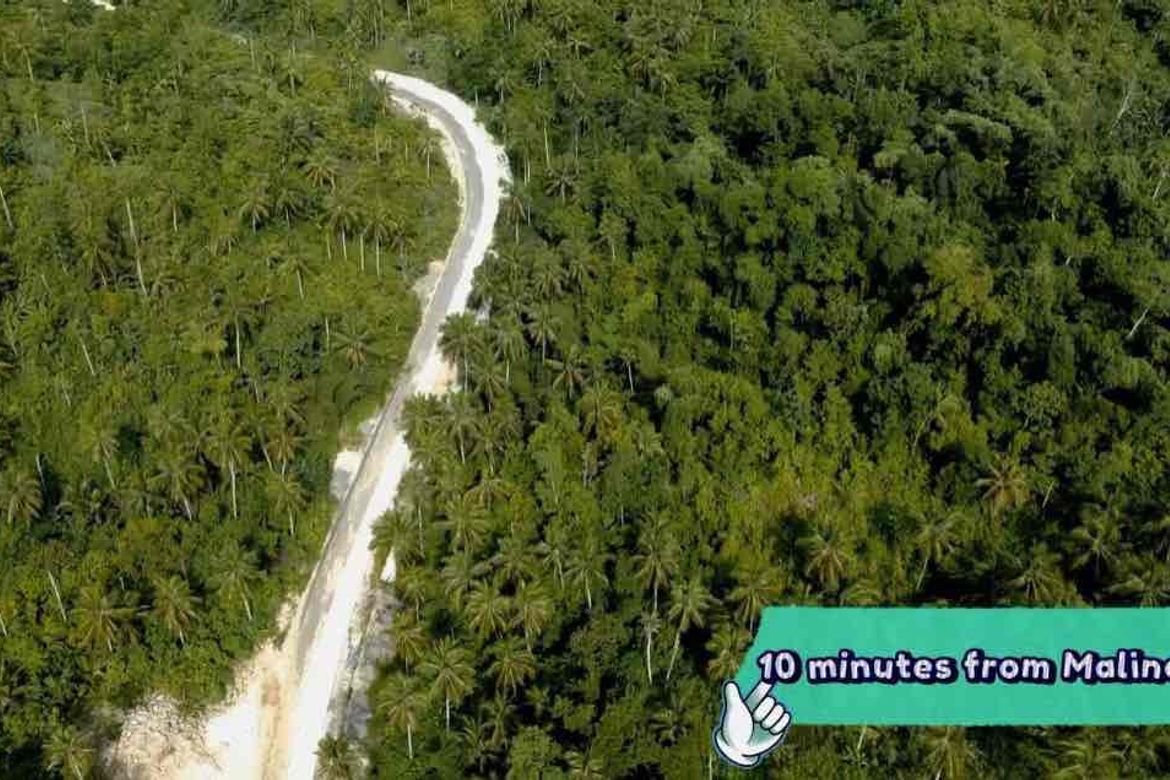 Land for Sale in Corazon, General Luna, Surigao del Norte – photo 2