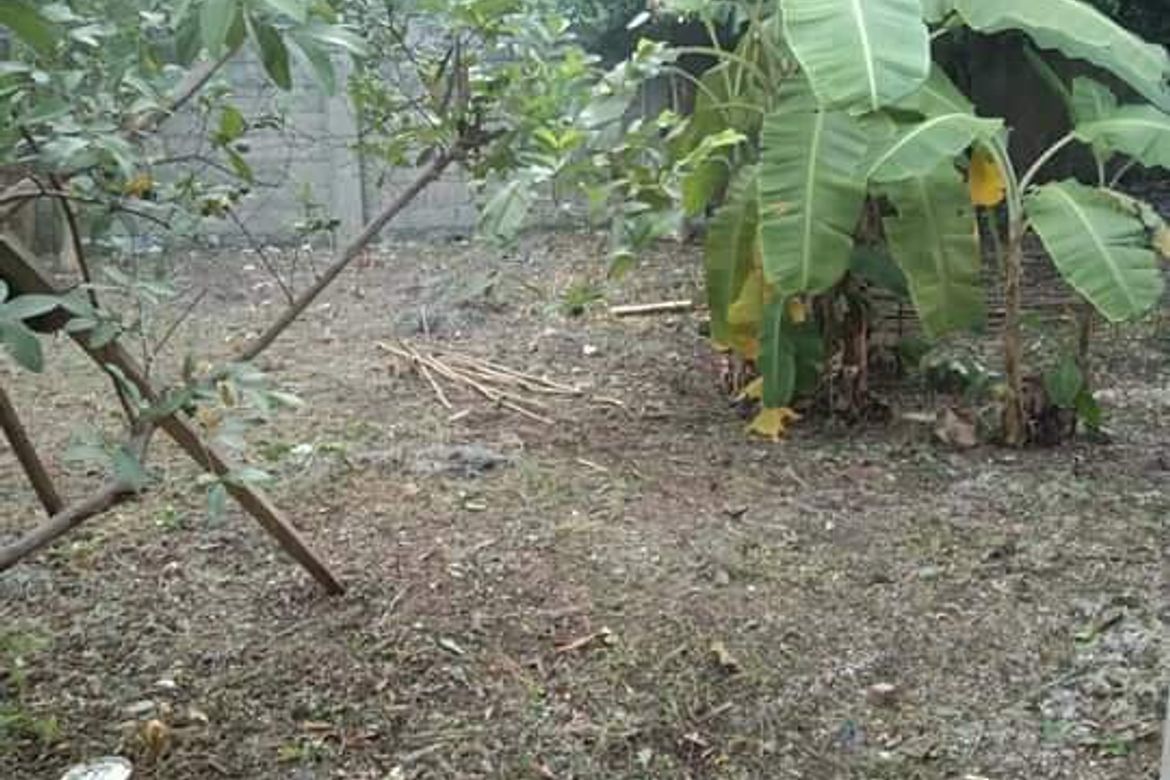 Land for Sale in Cordoba, Cebu – photo 2