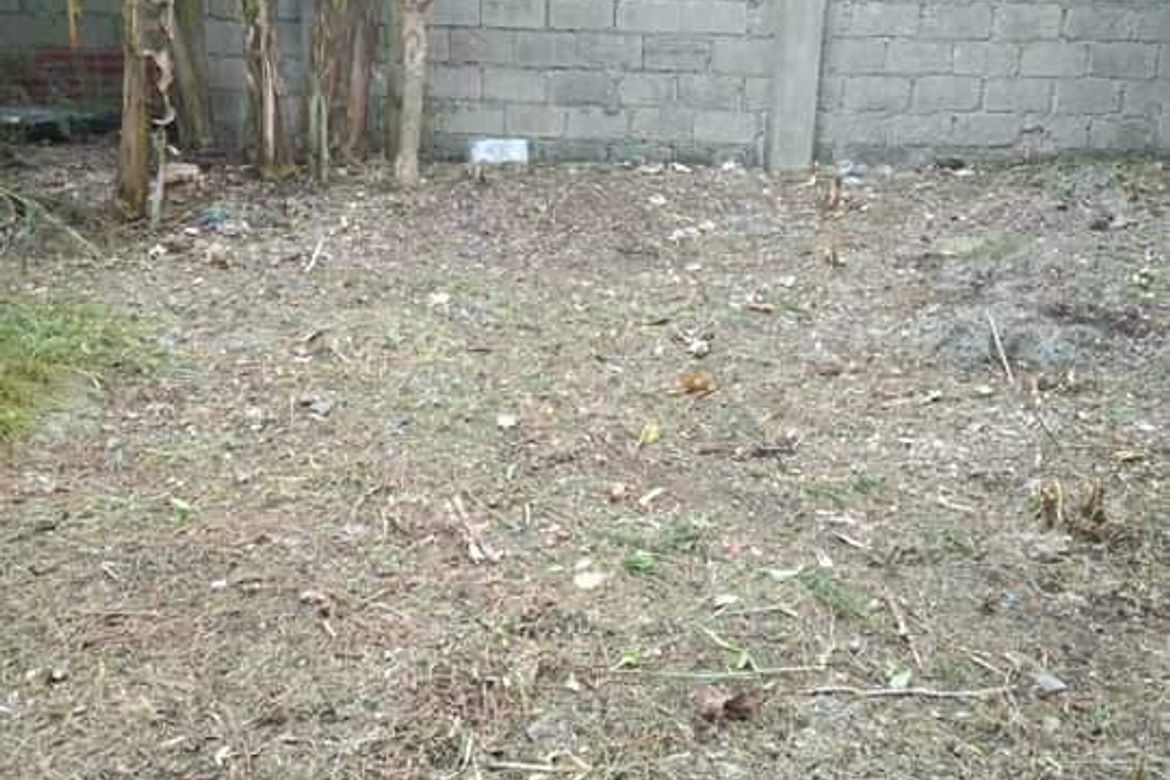 Land for Sale in Cordoba, Cebu – photo 6
