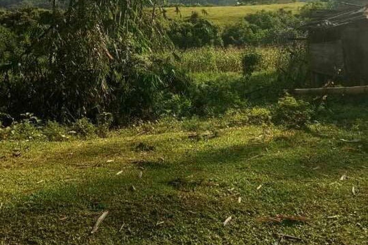 Land for Sale in Cosina, Talakag, Bukidnon – photo 2