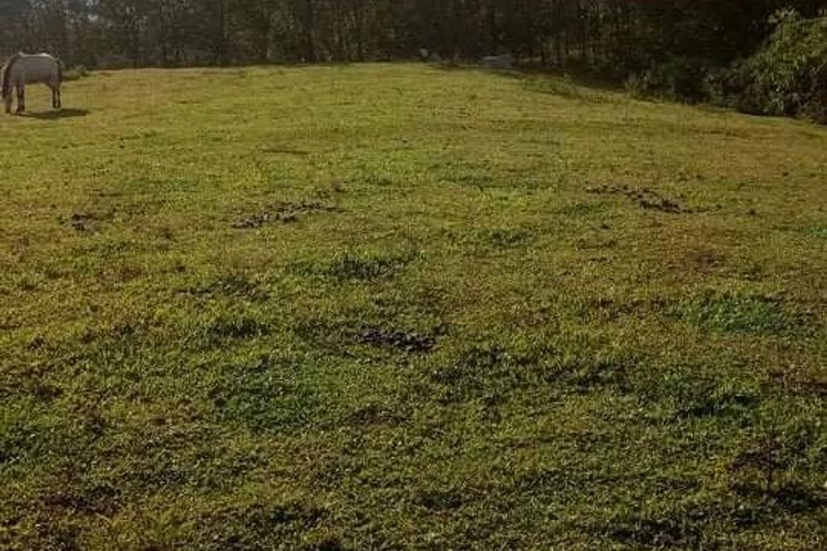 Land for Sale in Cosina, Talakag, Bukidnon – photo 3