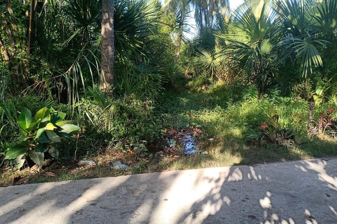 Land for Sale in Cotcot, Liloan, Cebu – photo 2