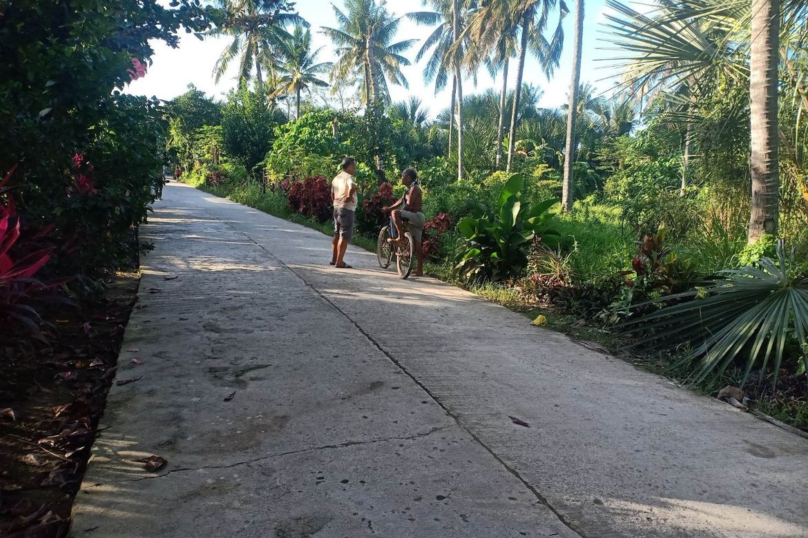 Land for Sale in Cotcot, Liloan, Cebu – photo 3