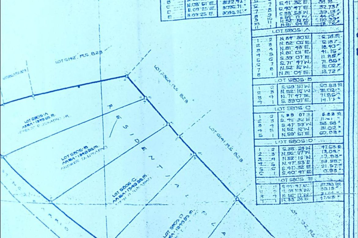 Land for Sale in Cotcot, Liloan, Cebu – photo 5