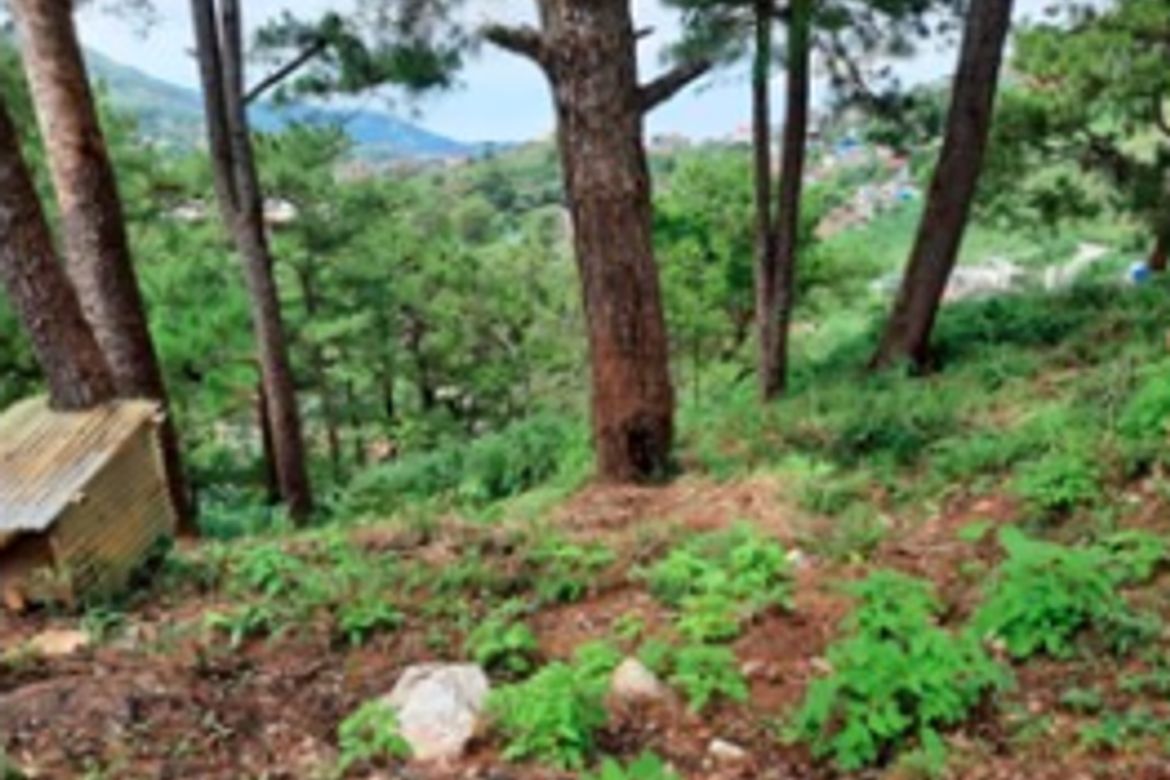 Land for Sale in Country Club Village, Baguio, Benguet