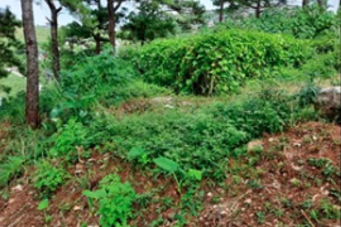 Land for Sale in Country Club Village, Baguio, Benguet – photo 2
