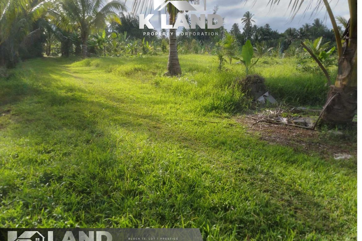 Land for Sale in Crossing Bayabas, Davao City, Davao del Sur – photo 2