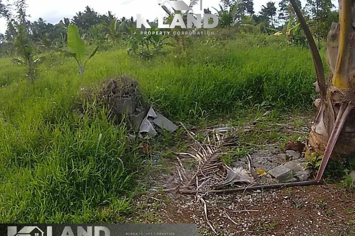 Land for Sale in Crossing Bayabas, Davao City, Davao del Sur – photo 3